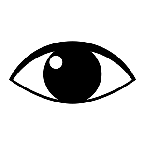 Black and white stylized image of a human eye