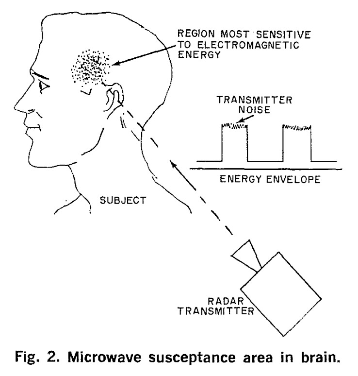 Fig. 2. Microwave susceptance area in brain.