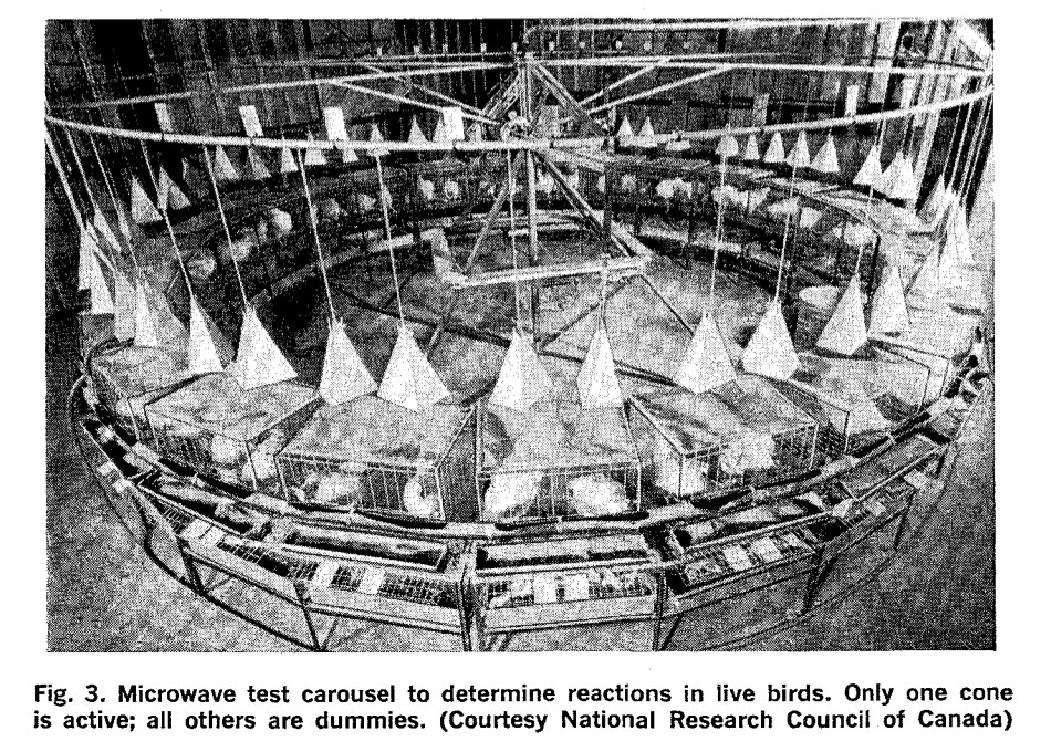 Fig. 3. Microwave test carousel to determine reactions in live birds. Only one cone is active; all others are dummies. (Courtesy National Research Council of Canada)