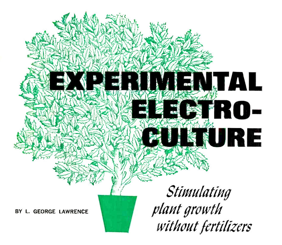 EXPERIMENTAL ELECTRO-CULTURE by L. George Lawrence :: Stimulating plant growth without fertilizers.